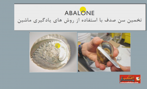 کلاس بندی دیتاست آبالون abalone